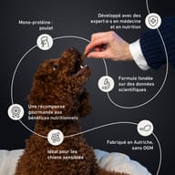 Friandises pour les articulations