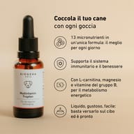 Flacone BIOGENA PETS Multivitamin Tropfen con 13 vitamine essenziali, L-carnitina e magnesio, per sostenere il sistema immunitario, il benessere e il metabolismo energetico del cane.