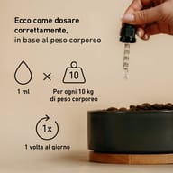 Dosaggio di BIOGENA PETS Senior Tropfen: 1 ml ogni 10 kg di peso corporeo, una volta al giorno. Una pipetta dosatrice è tenuta sopra una ciotola con cibo per cani.