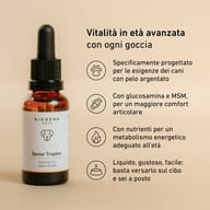 Flacone BIOGENA PETS Senior Tropfen. Formula per cani anziani con glucosamina, MSM e nutrienti essenziali per sostenere vitalità, benessere articolare e metabolismo energetico.