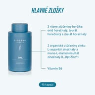 Balenie BIOGENA SPORTS ZMB6 s prehľadom hlavných zložiek: tri zlúčeniny horčíka, dve organické zlúčeniny zinku a vitamín B6. Balenie obsahuje 90 kapsúl.