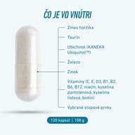 Grafika kapsuly BIOGENA SPORTS Essentials zobrazujúca hlavné zložky: zmes horčíka, taurín, ubichinol Kaneka Ubiquinol™, železo, zinok, vitamíny C, E, D3, skupiny B a vybrané stopové prvky. Balenie obsahuje 120 kapsúl.