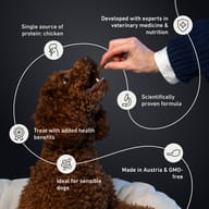brown curly dog taking a treat from a hand, English text, icons, circular lines