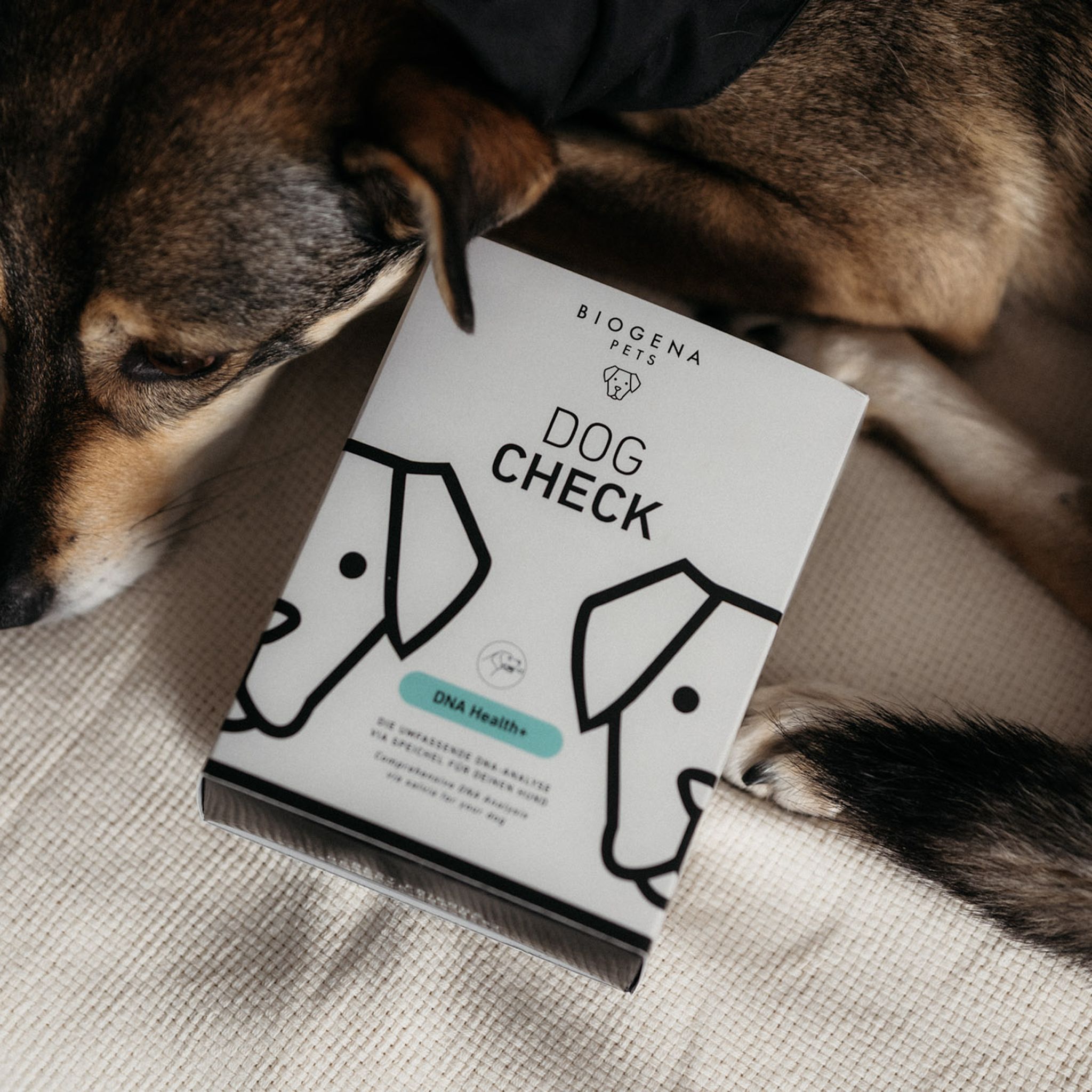 BIOGENA PETS Dog Check Dna Health+ Verpackung mit Hund Icon auf beigem Hintergrund