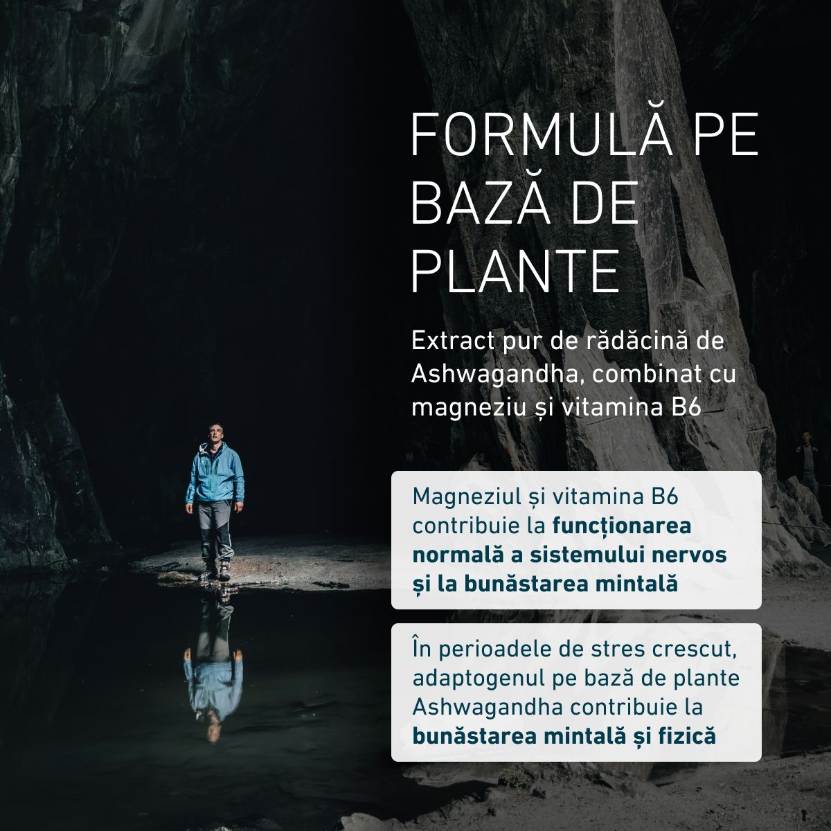 Biogena, Ashwagandha Formula, Sticlă, alb, Cu magneziu și vitamina B6