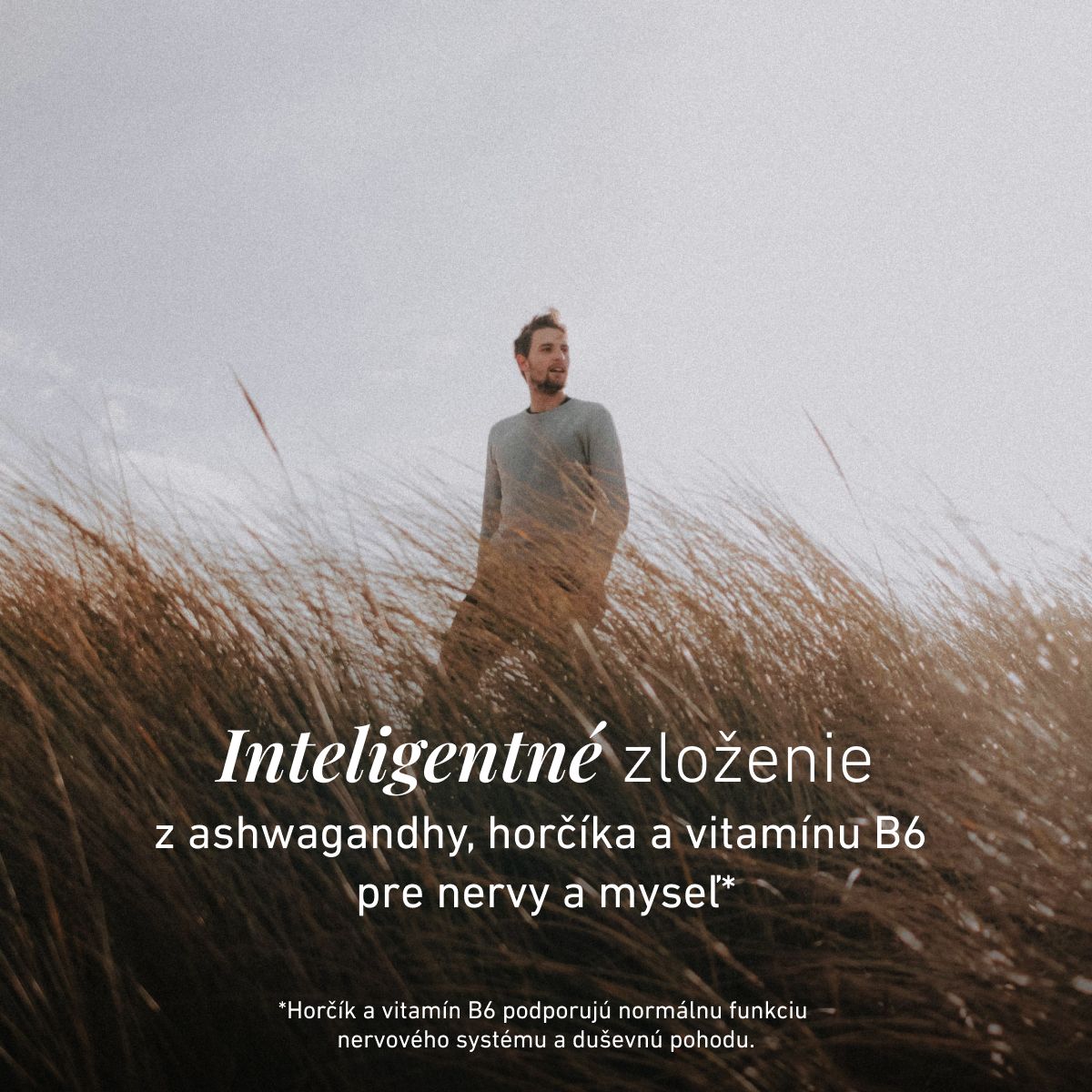 Biogena, Ashwagandha Formula, Fľaša, biela, S horčíkom a vitamínom B6