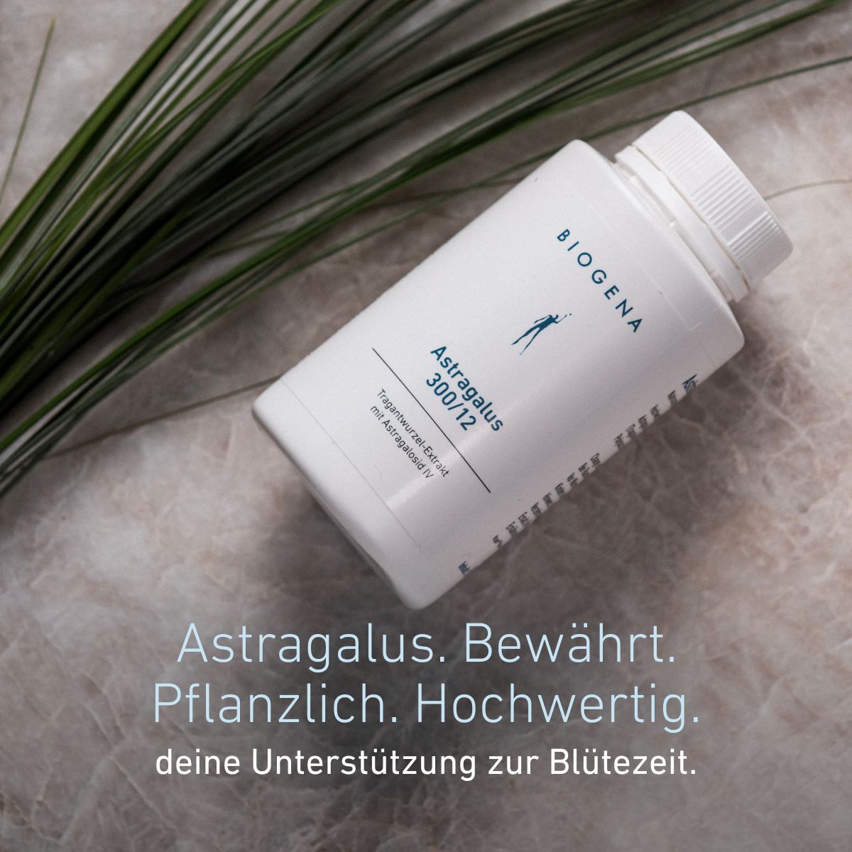 Biogena, Astragalus 300/12, Flasche, weiß, Tragantwurzel-Extrakt mit Astragalosid IV