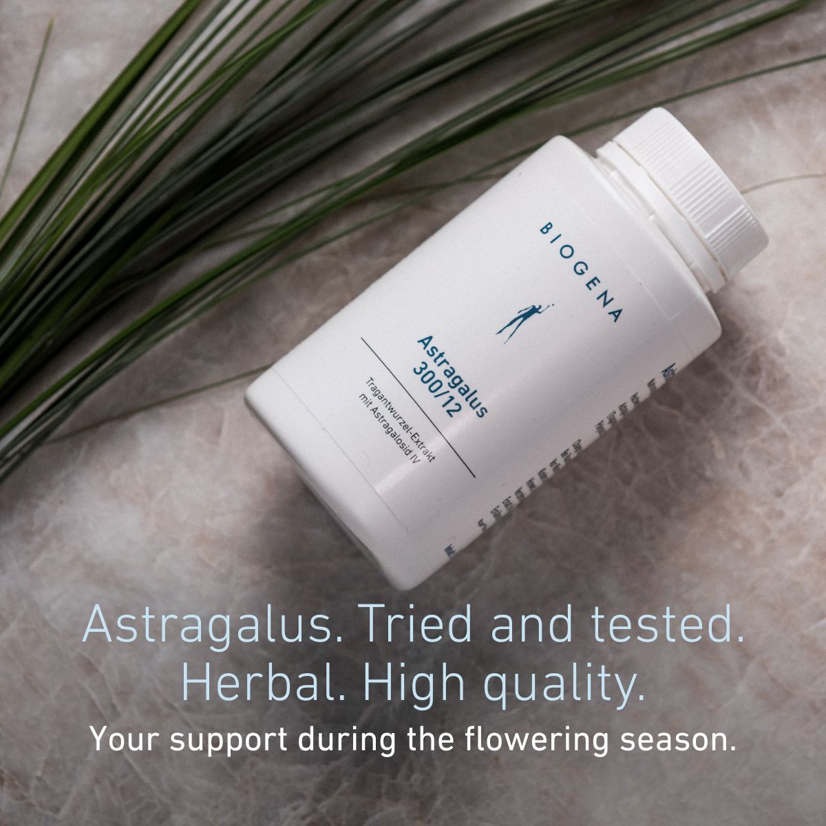 Biogena, Astragalus 300/12, Bottle, white, Tragacanth root extract with astragaloside IV