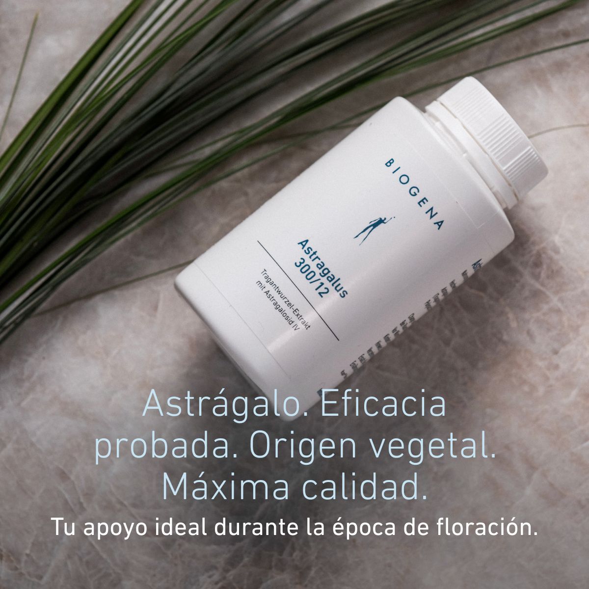 Biogena, Astragalus 300/12, Botella, blanco, Extracto de raíz de tragacanto con astragalósido IV