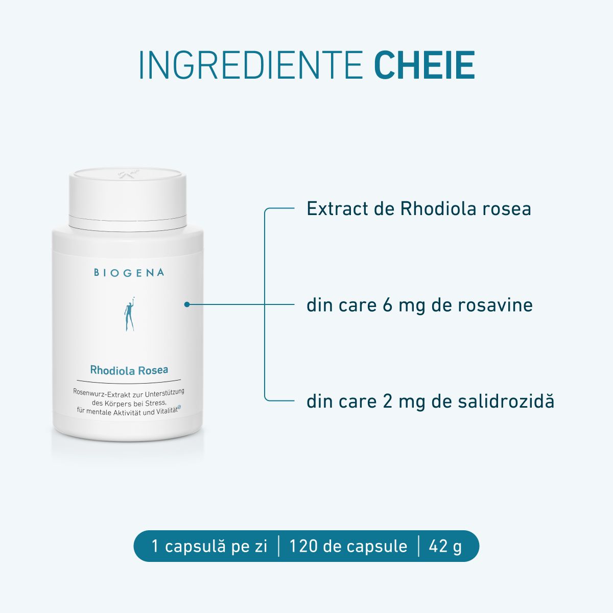 Biogena, Rhodiola Rosea, Sticlă, alb, Extract de rădăcină de trandafir pentru susținerea corpului în stres, pentru activitate mentală și vitalitate®
