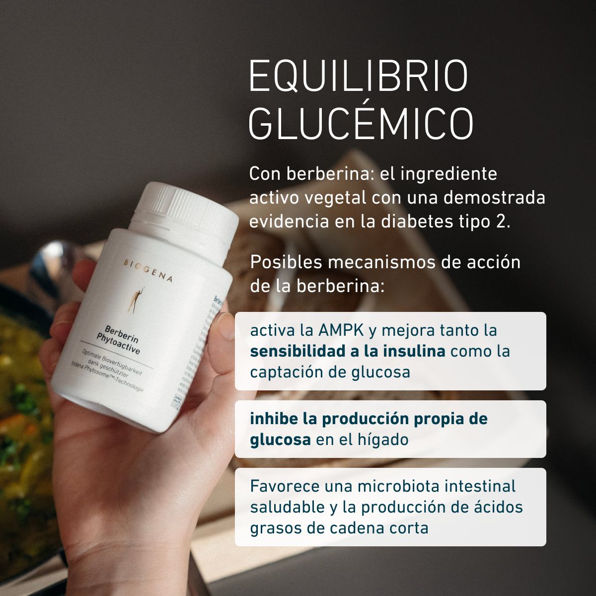 Biogena, Berberin Phytoactive, Botella, blanco, Biodisponibilidad óptima gracias a la tecnología Indena Phytosome™ protegida