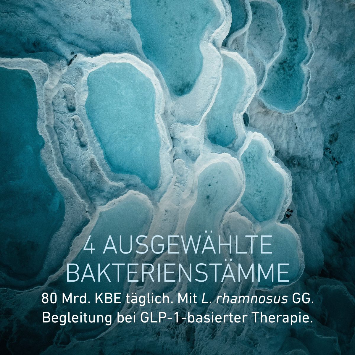Omni Lactis® GLP-1 Companion