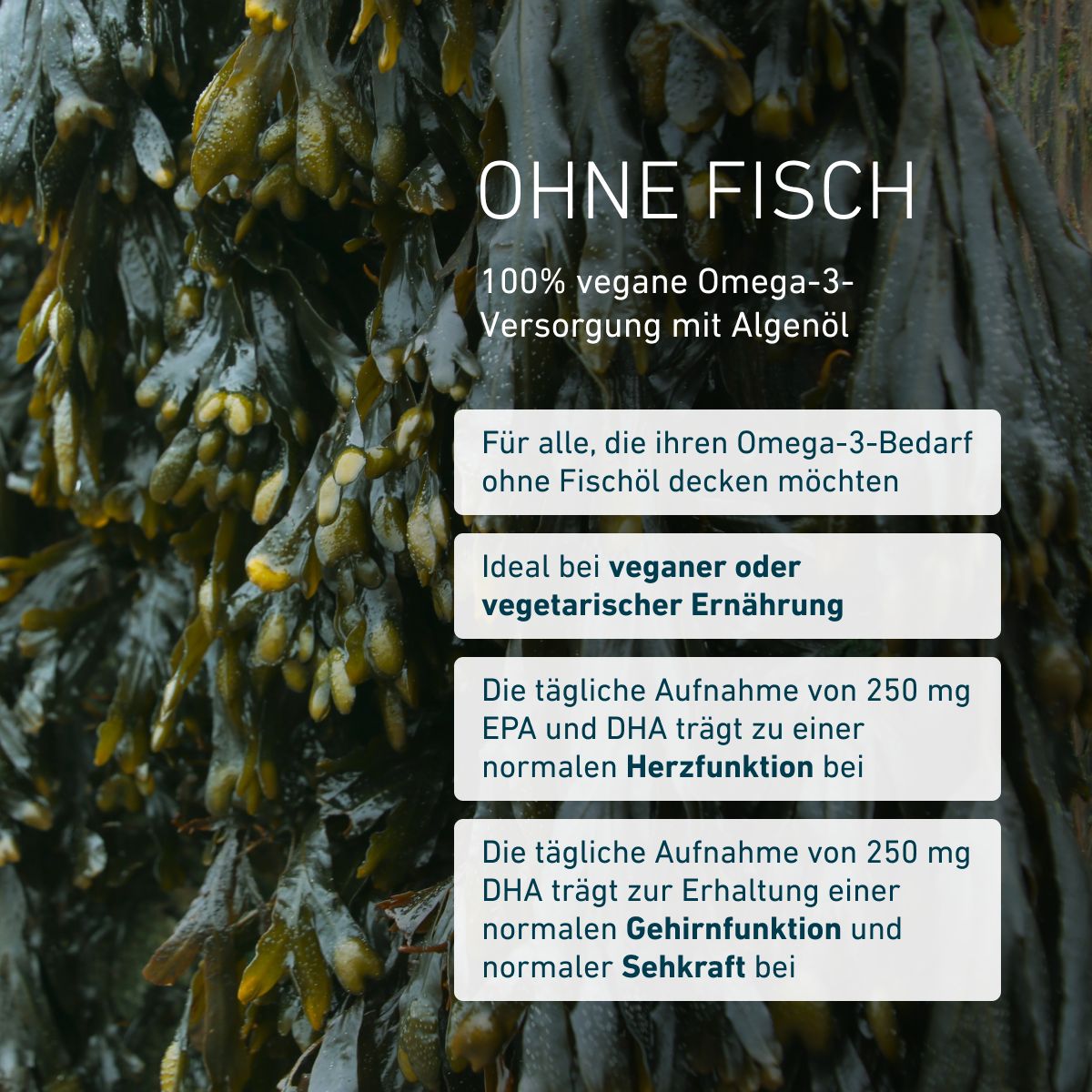 Biogena, Omega 3 vegan DHA & EPA 450, Flasche, weiß, Hoch dosiertes Premiumpräparat aus fermentierten Indoor-Algen