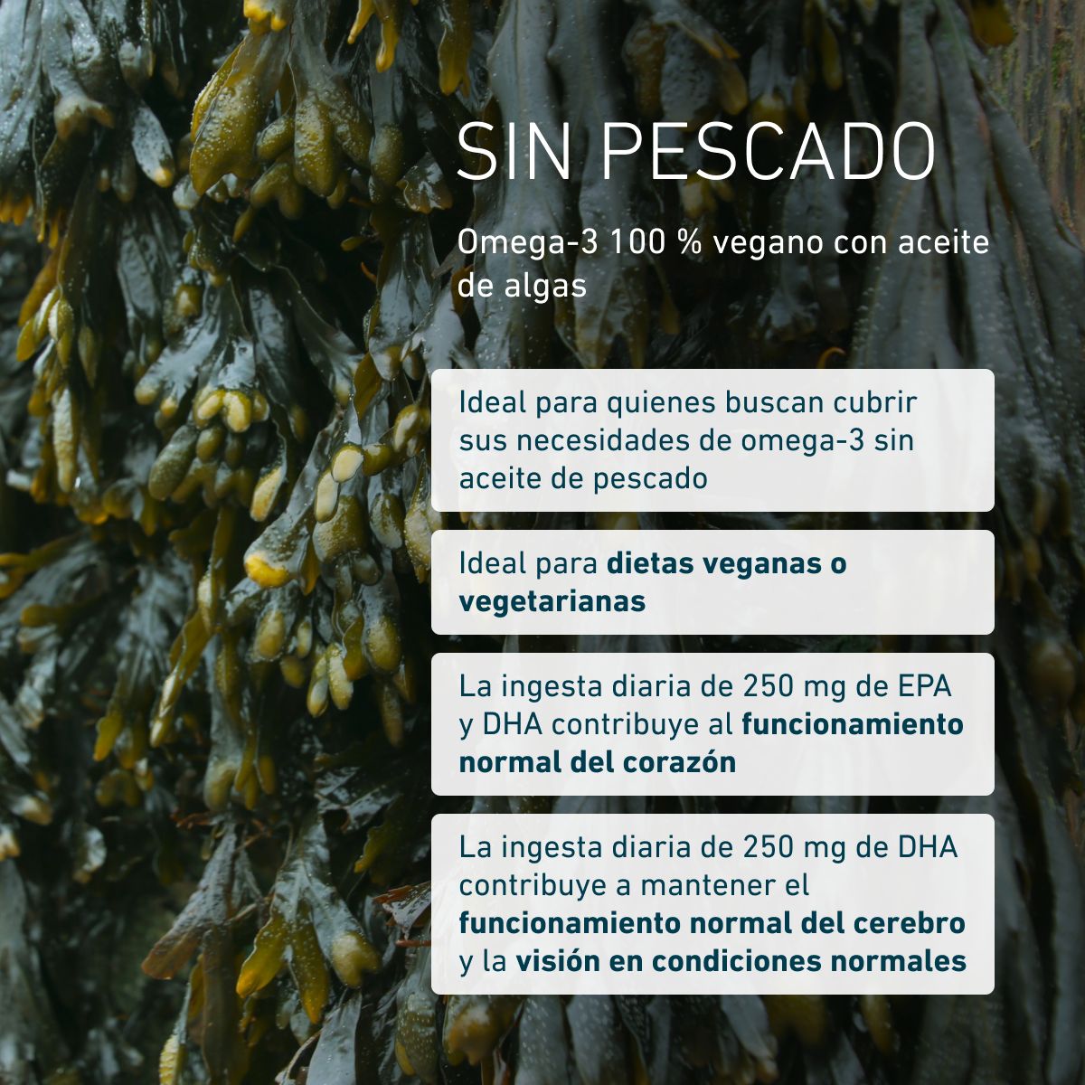 Biogena, Omega 3 vegan DHA & EPA 450, Botella, blanco, Preparado premium de alta dosificación a base de algas de interior fermentadas