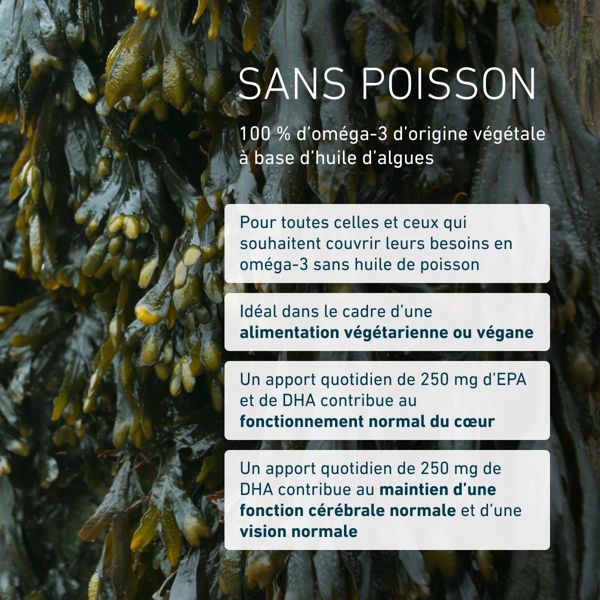 Biogena, Omega 3 vegan DHA & EPA 450, Bouteille, blanc, Préparation premium hautement dosée à base d’algues d’intérieur fermentées