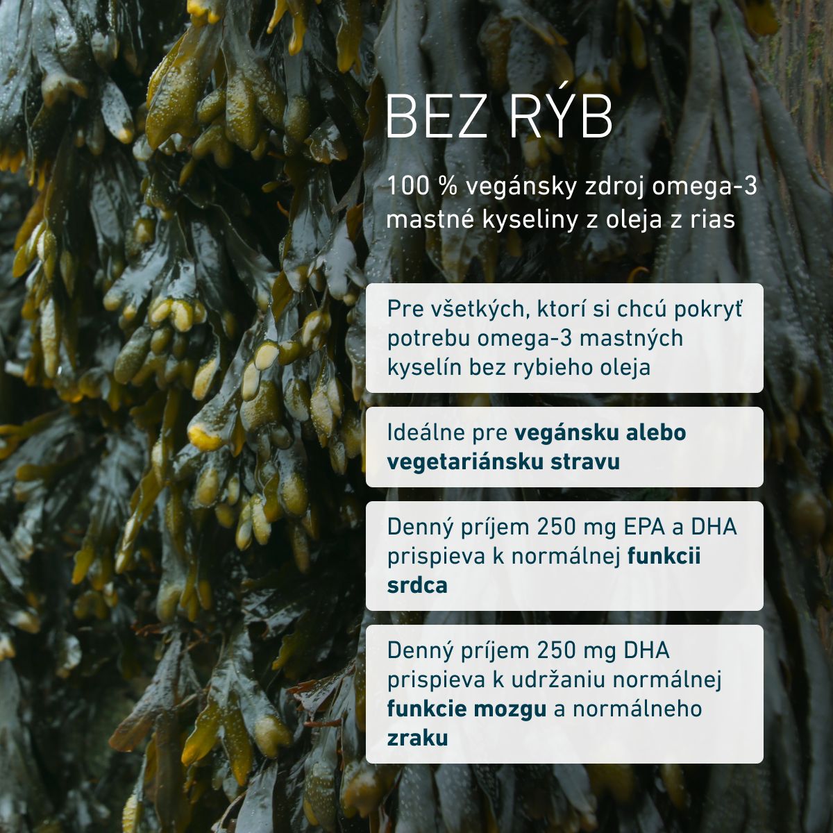 Biogena, Omega 3 vegan DHA & EPA 450, Fľaša, biela, Vysokodávkovaný prémiový prípravok z fermentovaných indoor rias