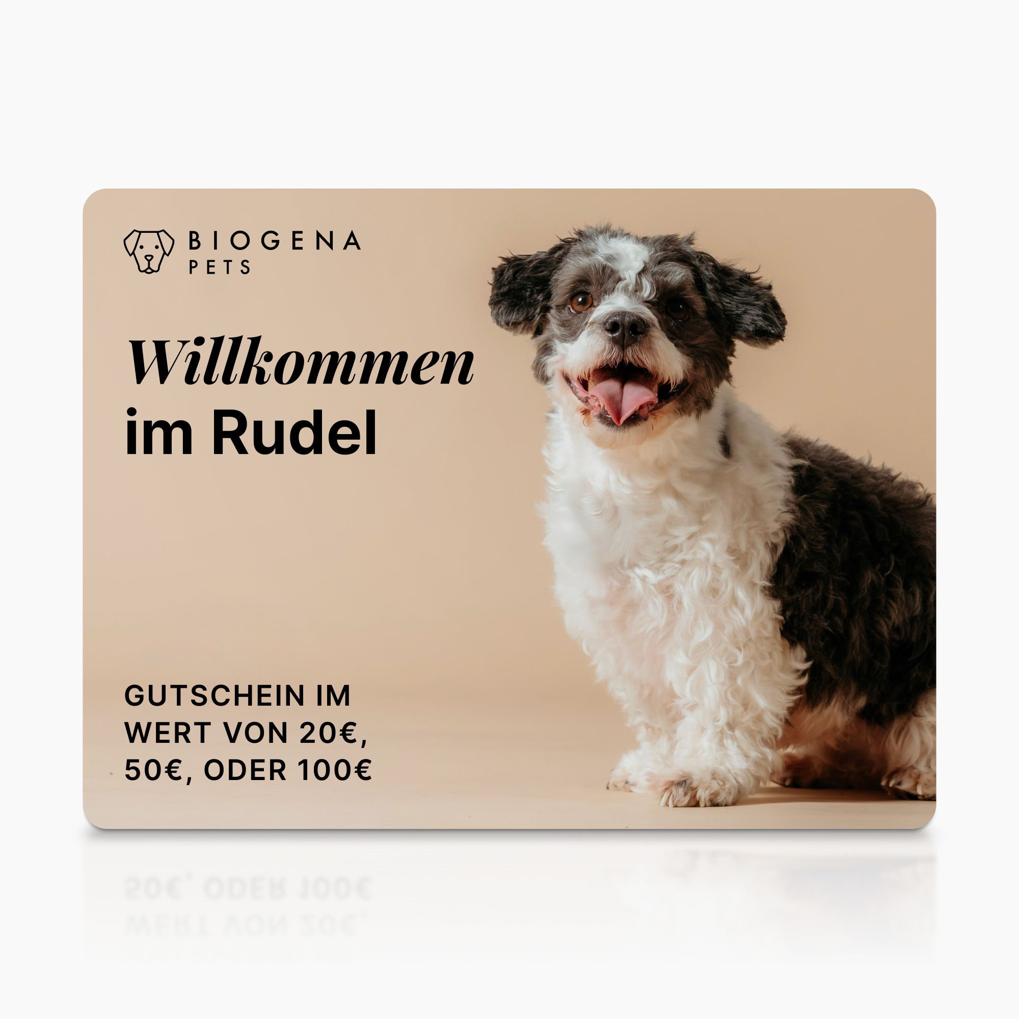Biogena, PETS, Karton, weiß,