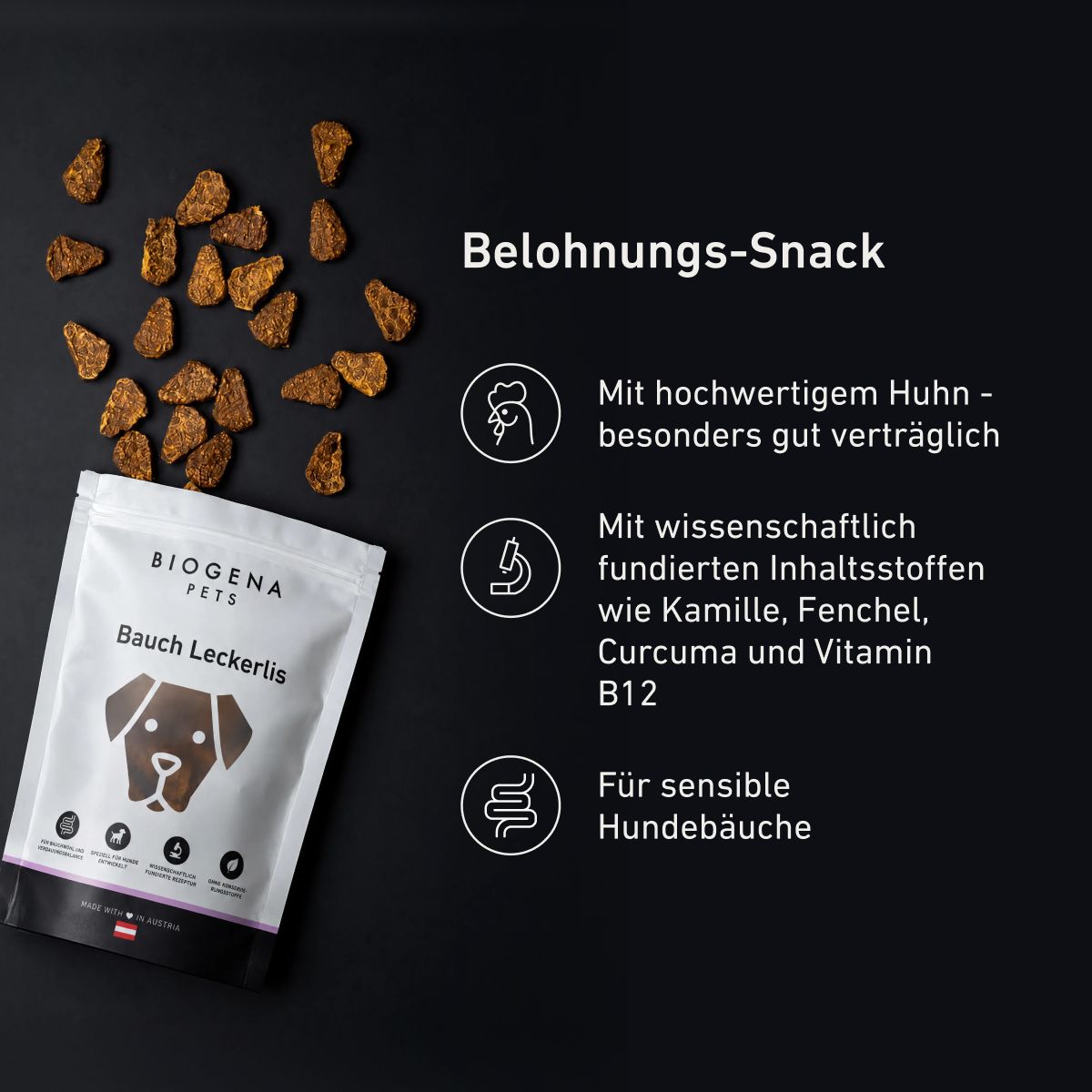 Bauch Leckerlis für Hunde – sanfte Verdauungssnacks