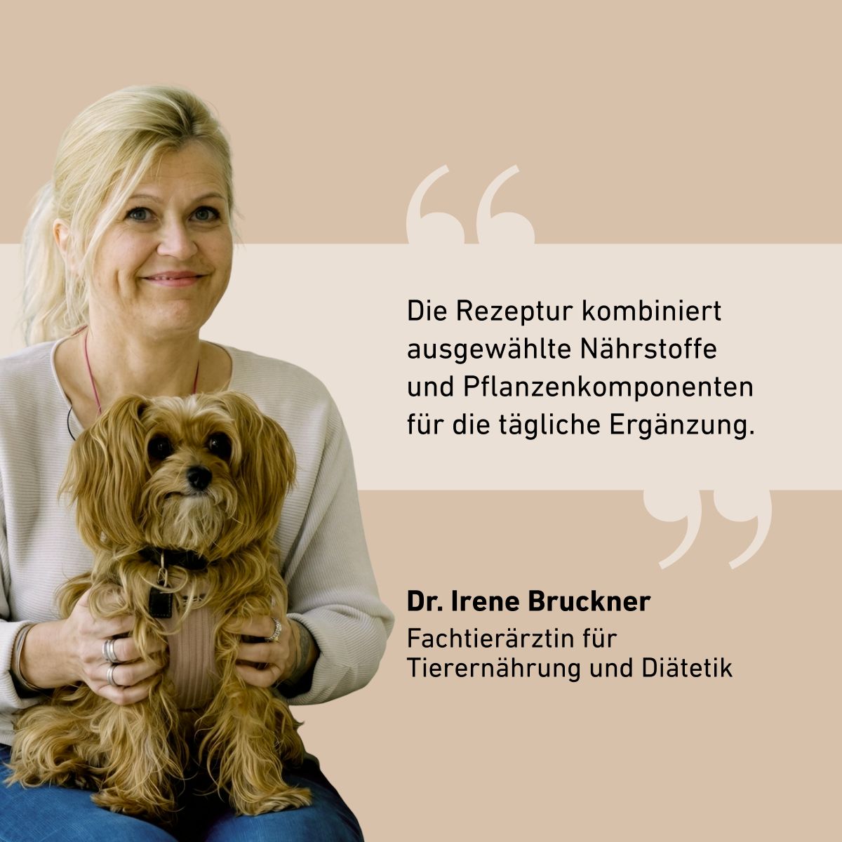 Relax Leckerlis für Hunde – Entspannung zum Snacken