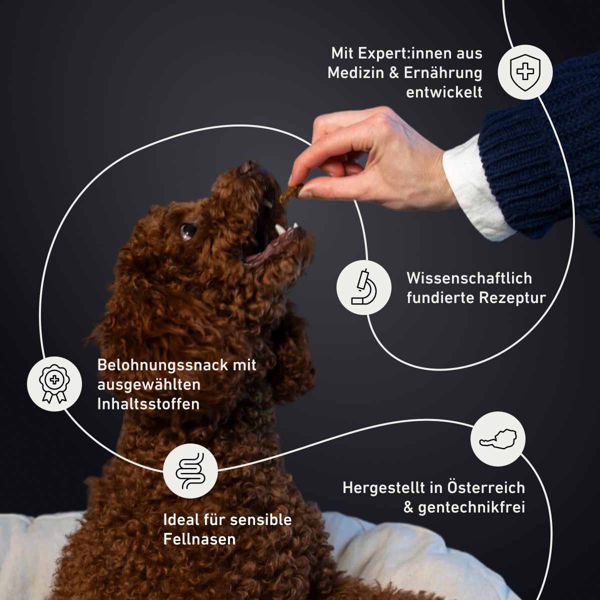 Relax Leckerlis für Hunde – Entspannung zum Snacken