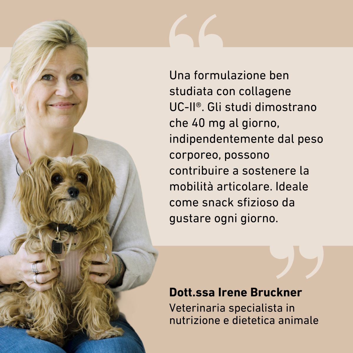 Biogena, Gelenk Leckerlis, Busta, bianco,