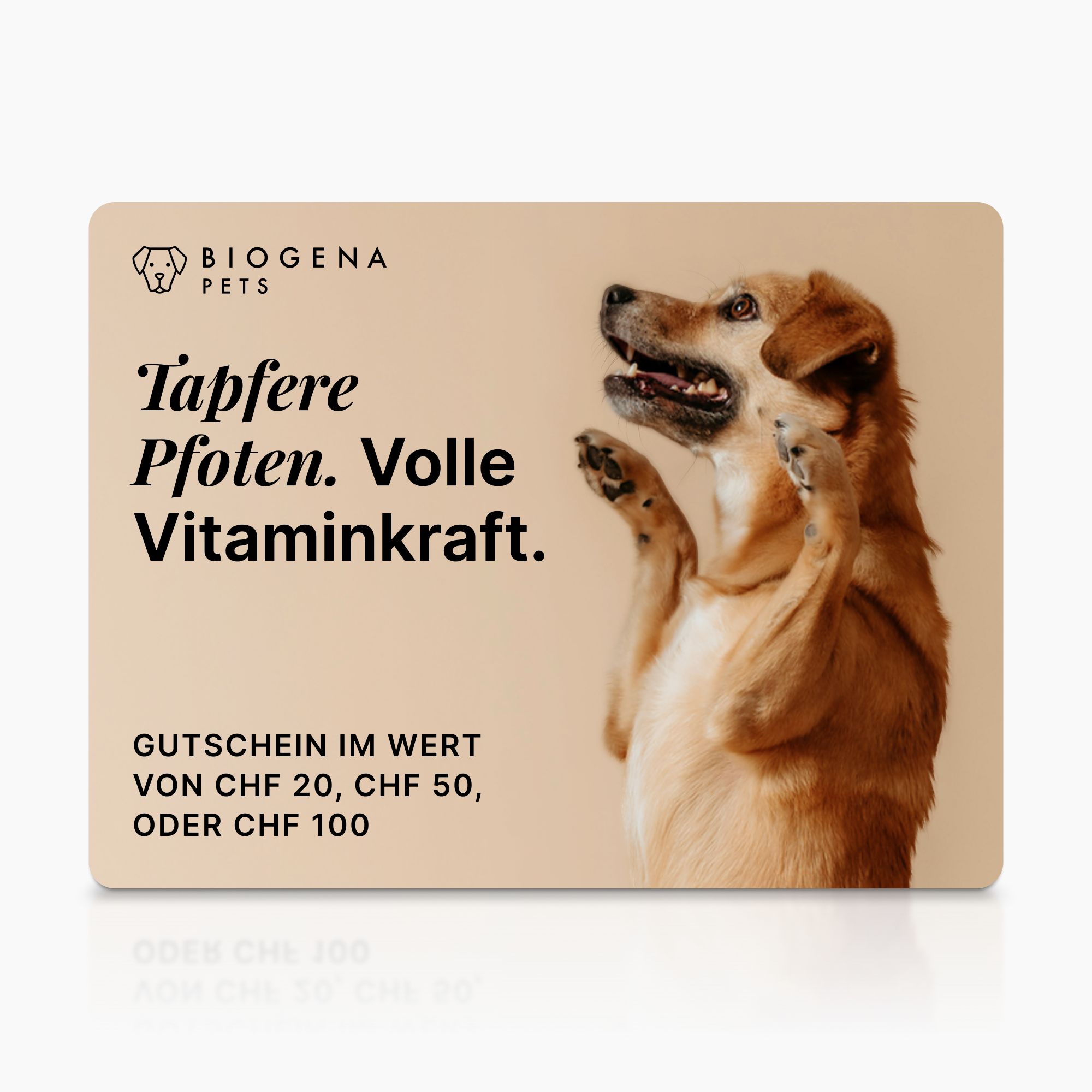 Biogena, PETS, Karton, weiss,