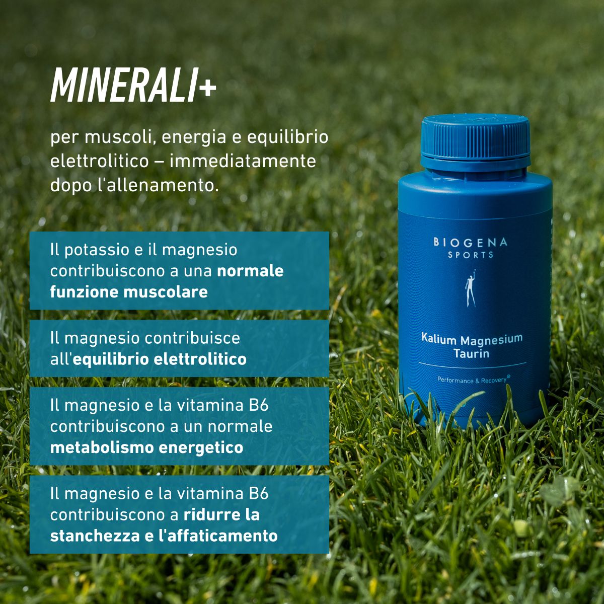 Biogena Sports, Kalium Magnesium Taurin, Flasche, petrol, Leistung & Regeneration®