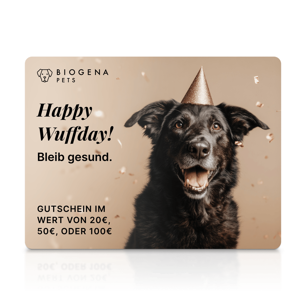 BIOGENA PETS Gift Card, Karte, schwarzer Hund mit Partyhut, Konfetti, Text