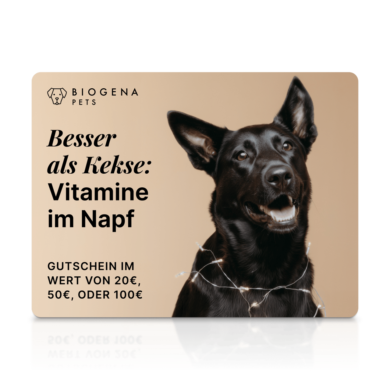 Gutschein “Besser als Kekse”