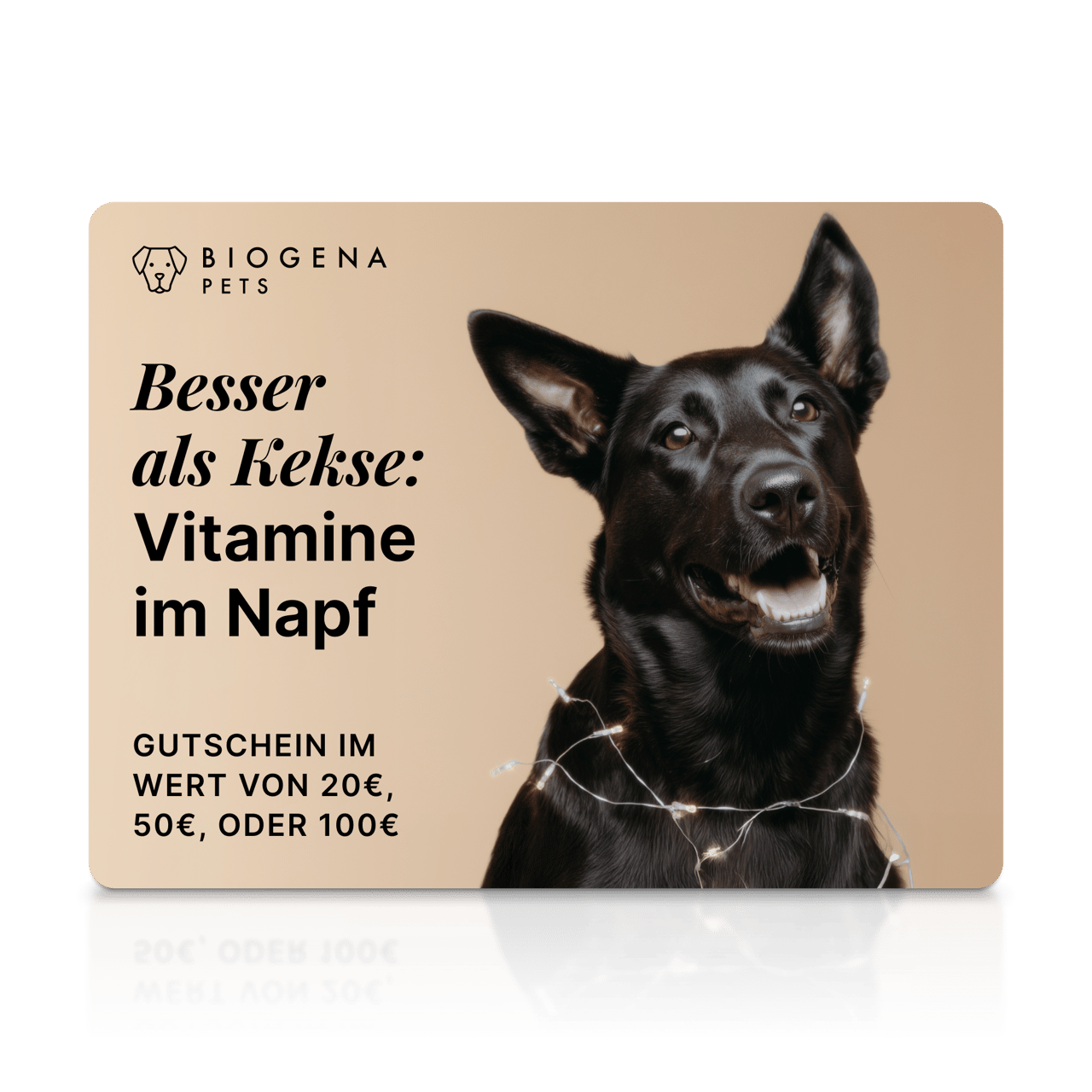 BIOGENA PETS Geschenkkarte, schwarzer Hund, Lichterkette, beiger Hintergrund, Text
