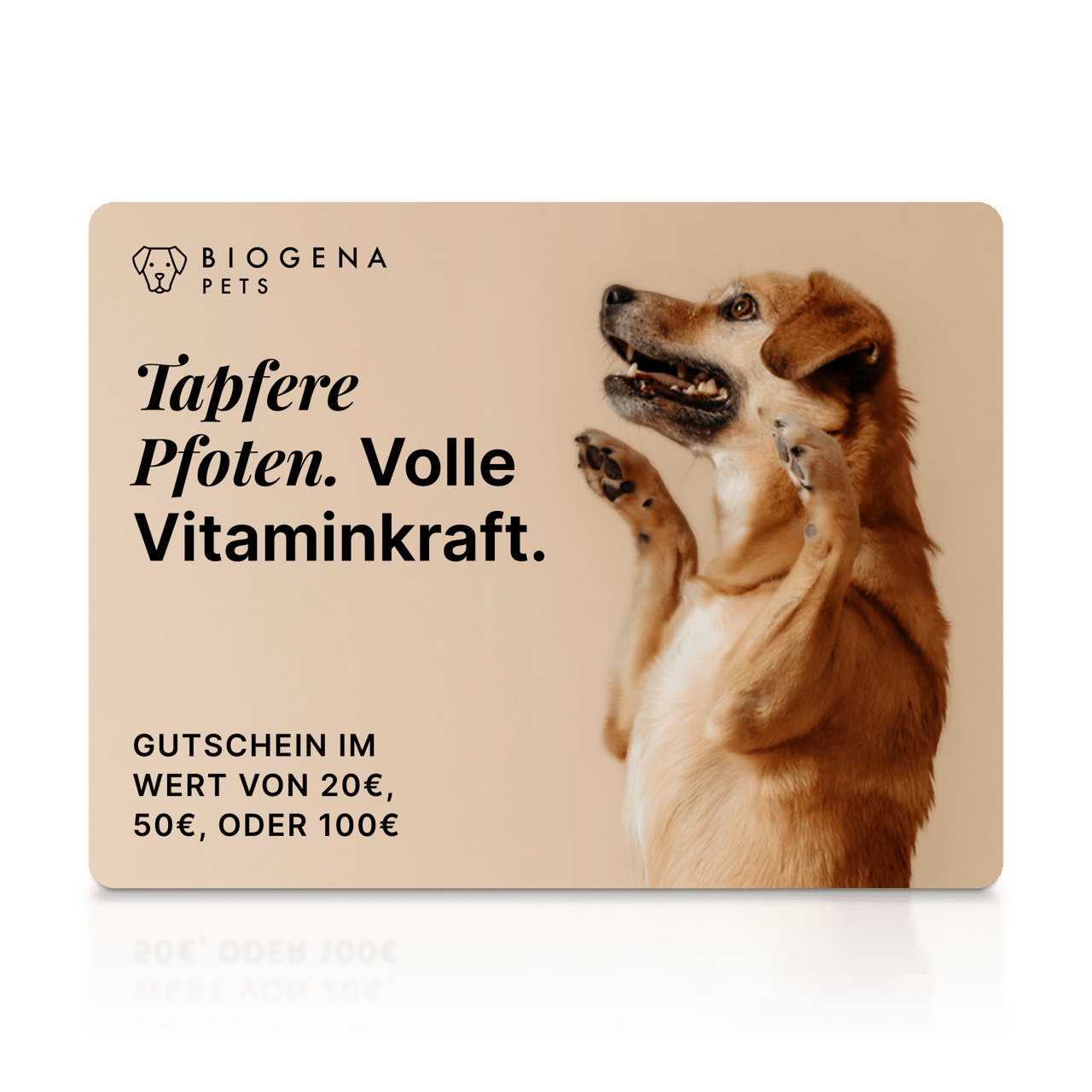 BIOGENA PETS Geschenkkarte, Hund mit erhobenen Pfoten, Text, beiger Hintergrund