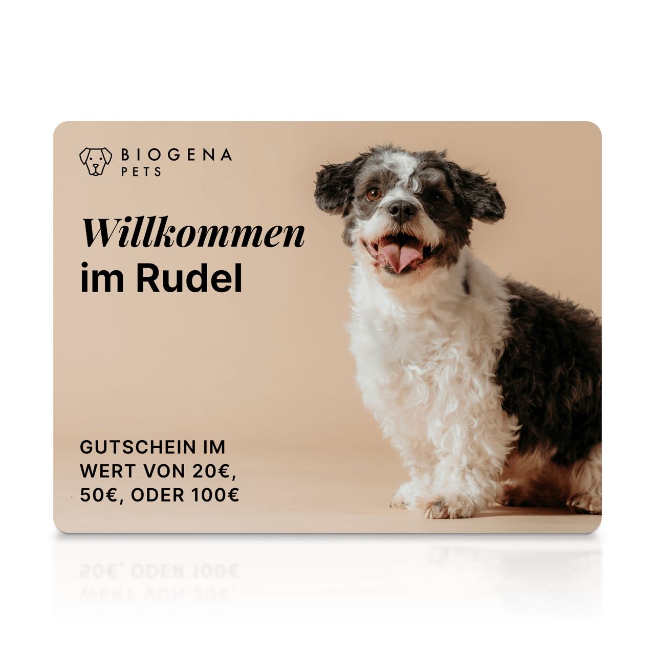 Gutschein “Willkommen im Rudel”