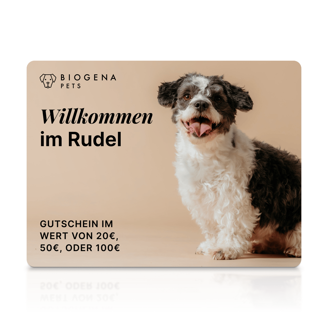 BIOGENA PETS Gift Card, Hund, Text Welcome to the pack, beige Hintergrund