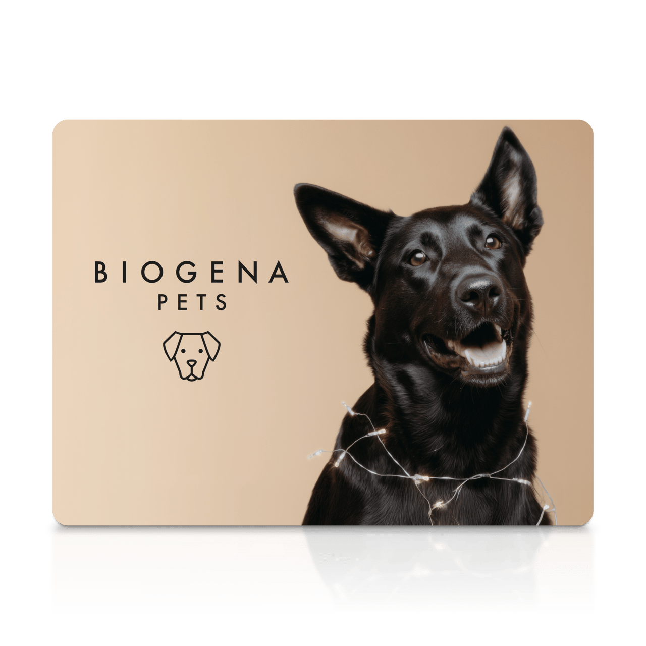 Eine hellbraune Karte mit der Aufschrift „BIOGENA PETS“ und einem minimalistischen Hundesymbol. Rechts im Bild sitzt ein fröhlicher schwarzer Hund mit Lichterkette um den Hals vor einem beigen Hintergrund.