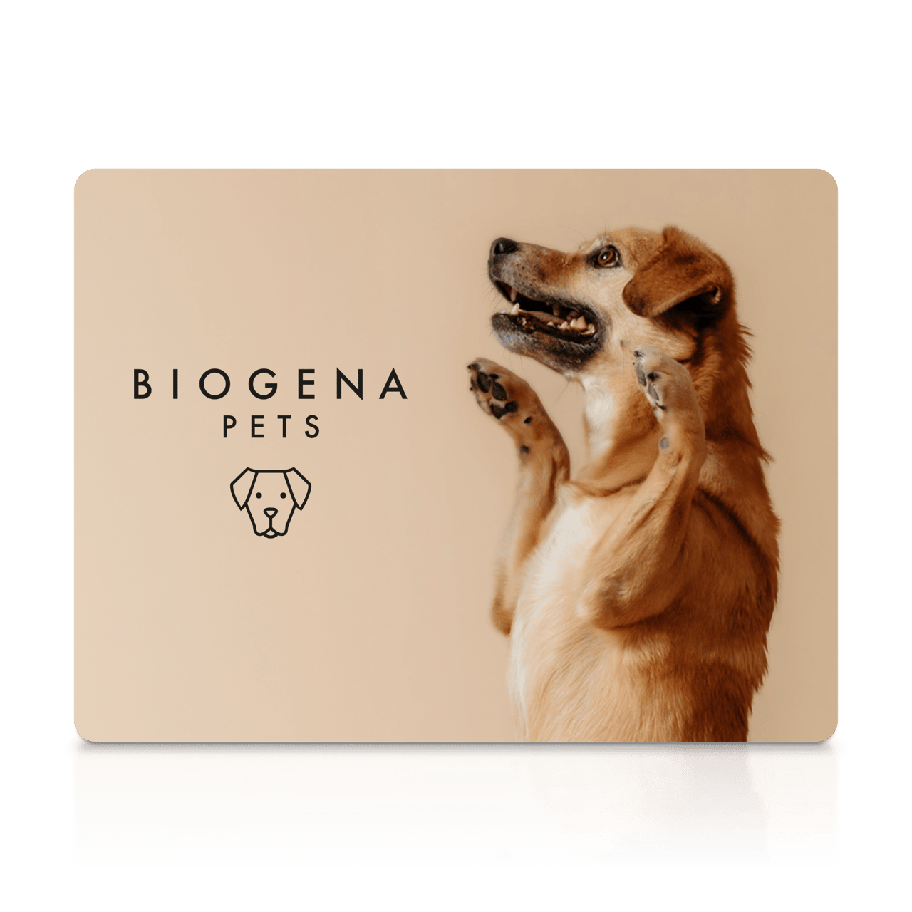 Beige Karte mit Text „BIOGENA PETS". Rechts ein fröhlicher hellbrauner Hund, der auf den Hinterbeinen sitzt und die Pfoten hebt.