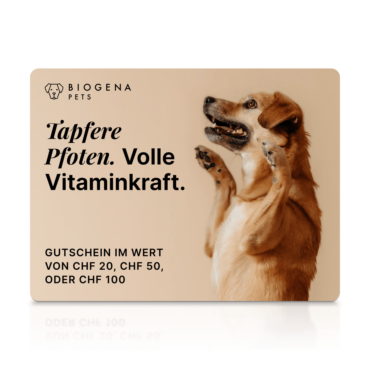 Biogena Pets Gutschein-Karte, Hund mit erhobenen Pfoten, Text, beiger Hintergrund, Spiegelung