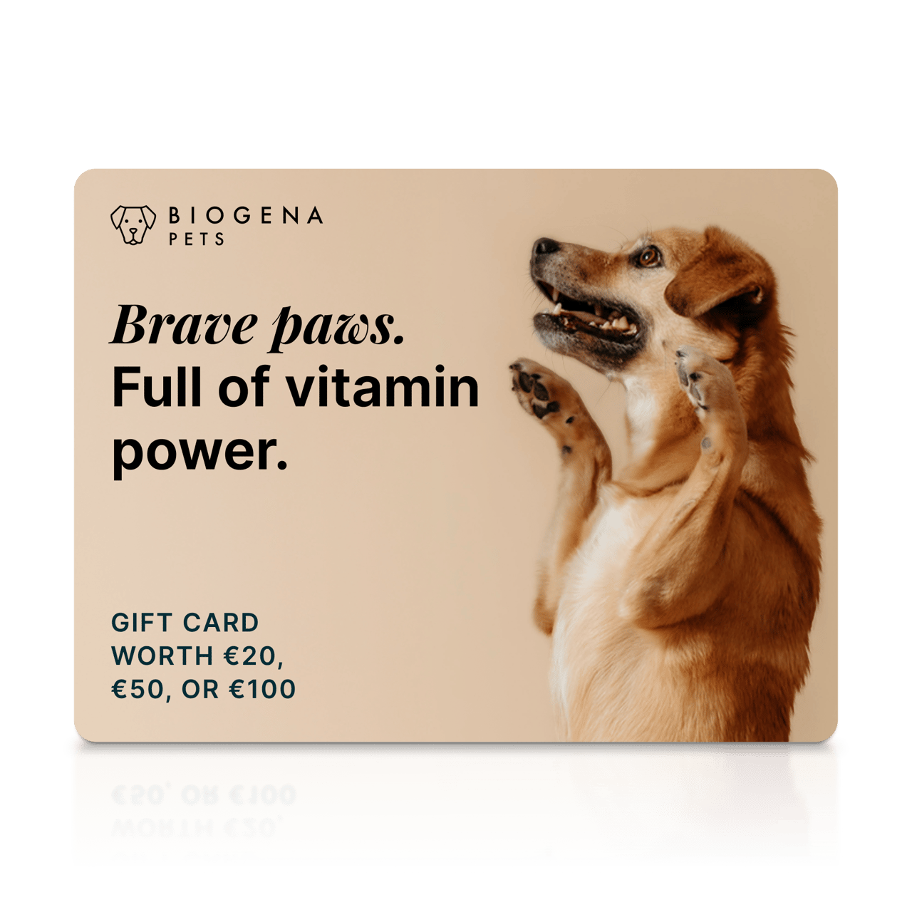 Gift card "Brave Paws"
