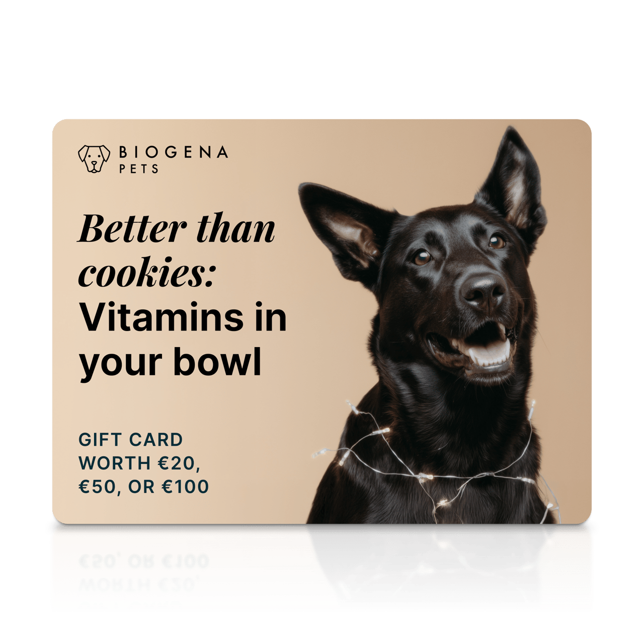 Gutschein “Besser als Kekse”