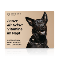 Gutschein “Besser als Kekse”