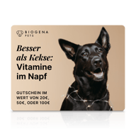 BIOGENA PETS Geschenkkarte, schwarzer Hund, Lichterkette, beiger Hintergrund, Text