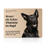 Gutschein “Besser als Kekse”