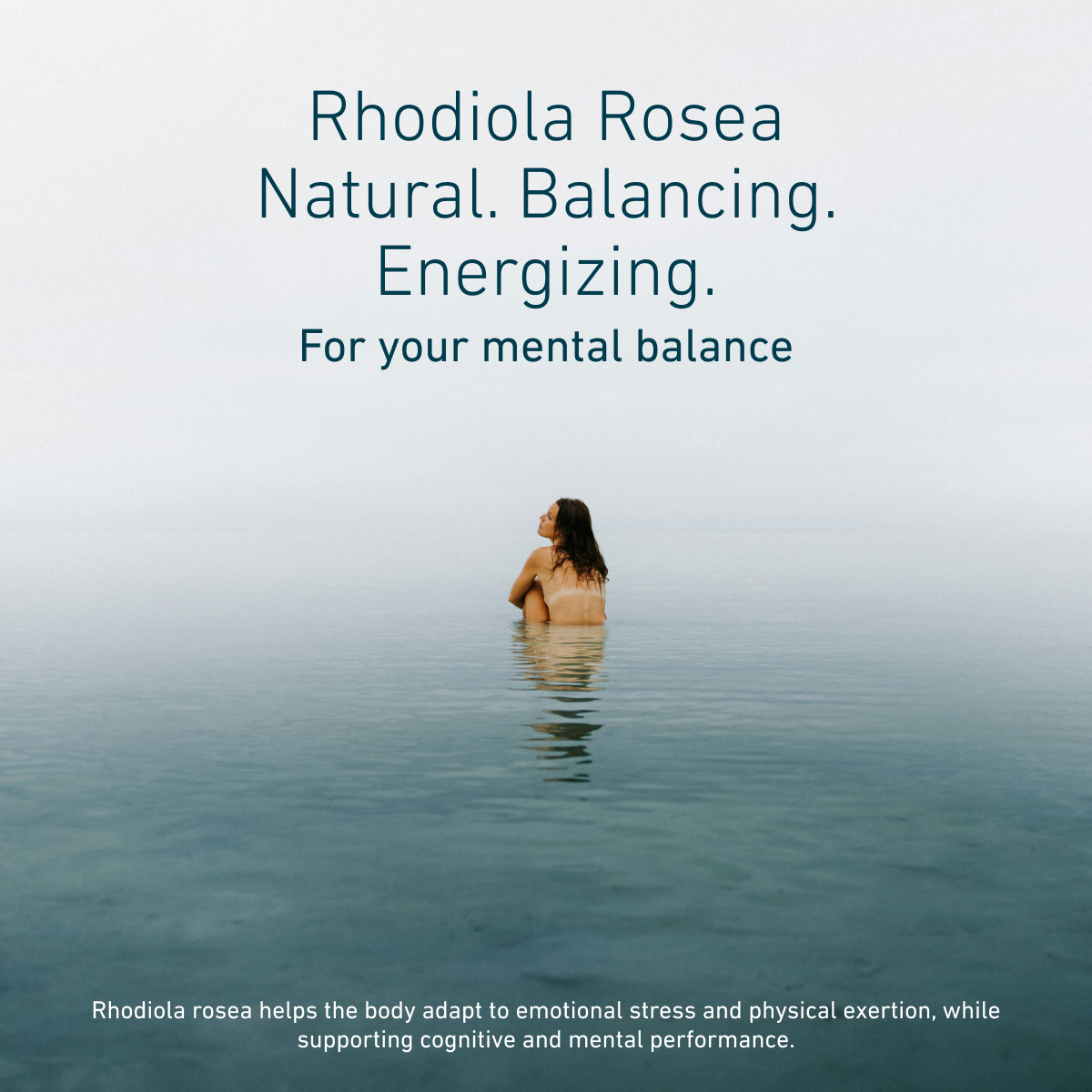 Biogena, Rhodiola Rosea, Bottle, white, Rose root extract to support the body during stress, for mental activity and vitality®