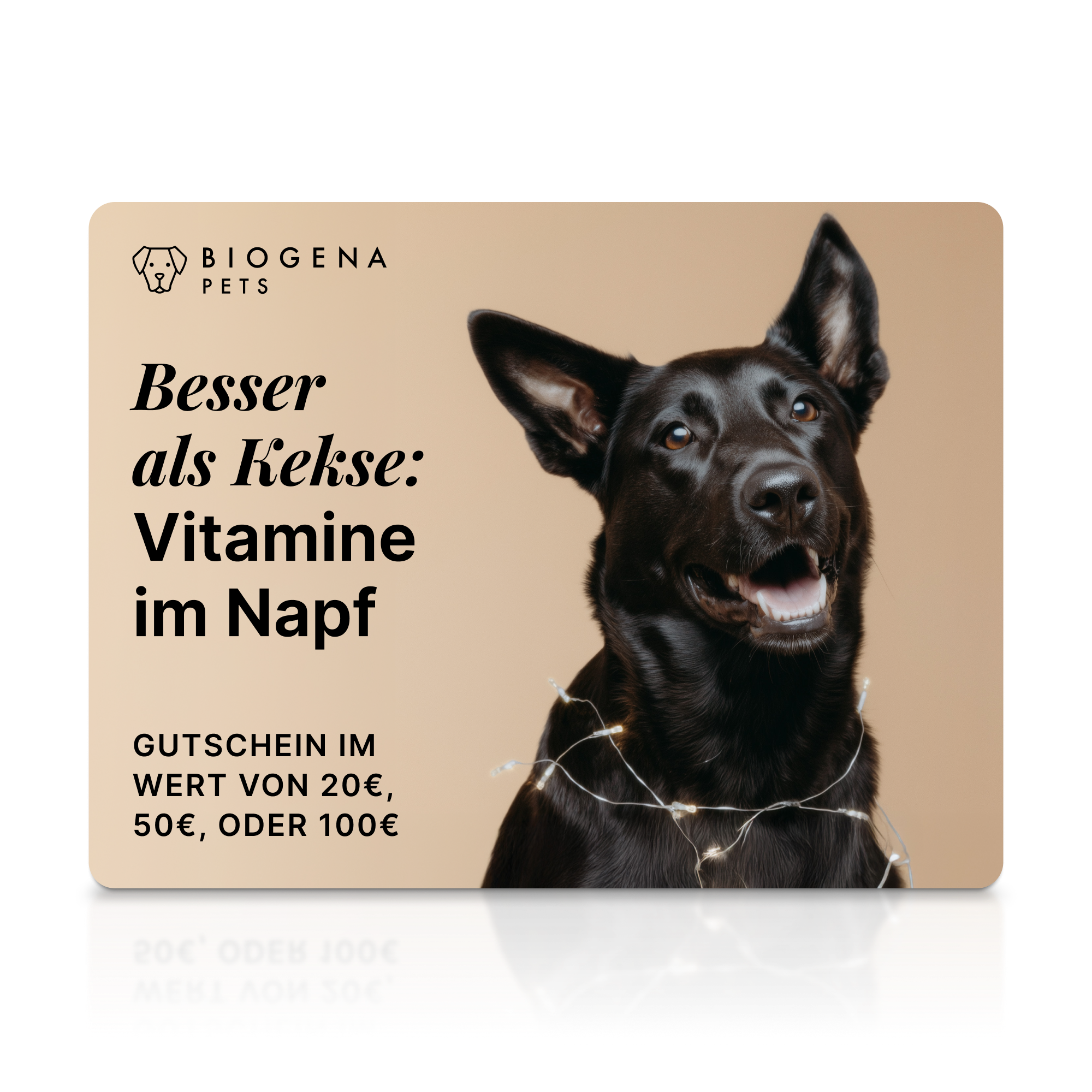 Eine hellbraune Karte mit der Aufschrift „BIOGENA PETS“ und einem minimalistischen Hundesymbol. Rechts im Bild sitzt ein fröhlicher schwarzer Hund mit Lichterkette um den Hals vor einem beigen Hintergrund.