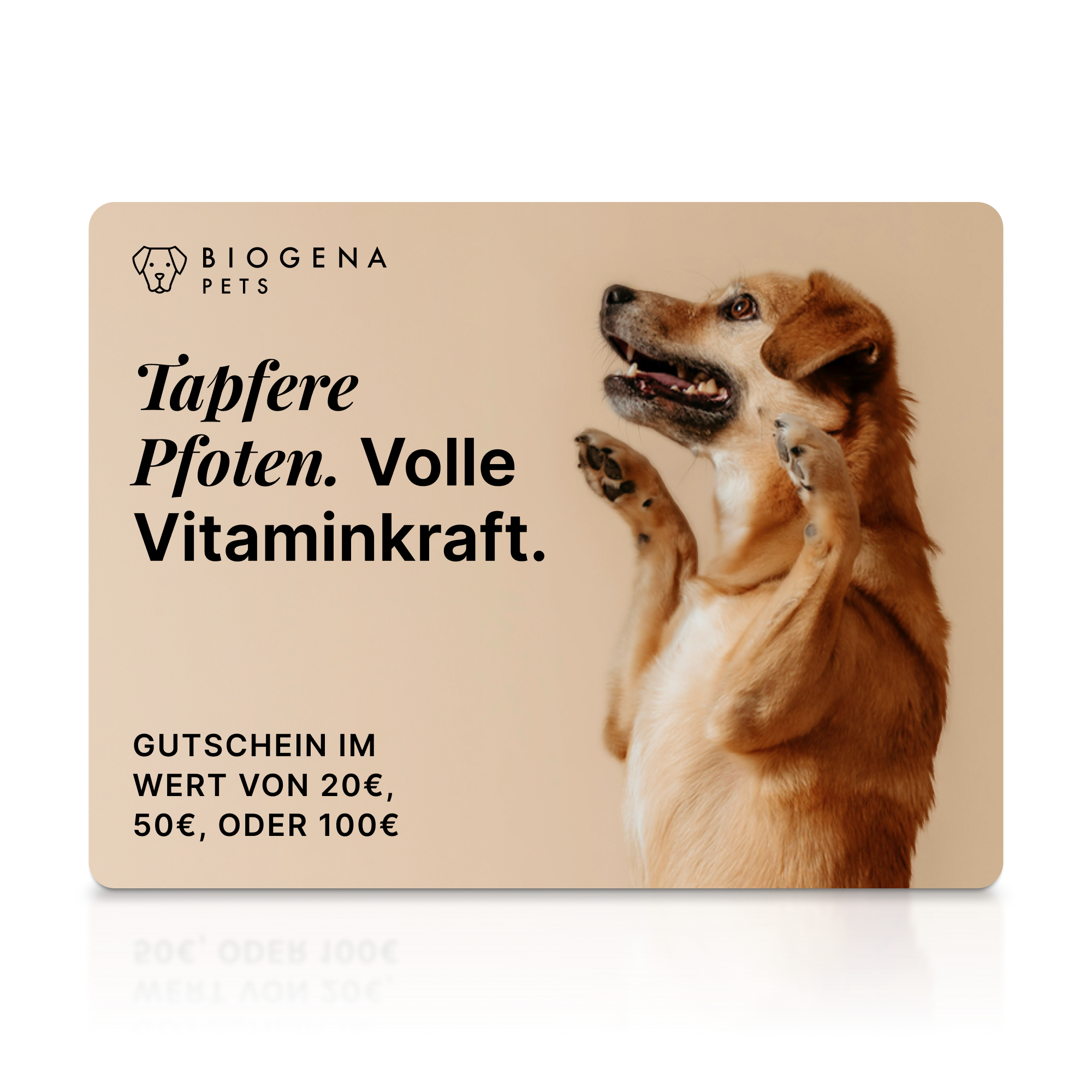 Biogena, PETS, Karton, weiß,