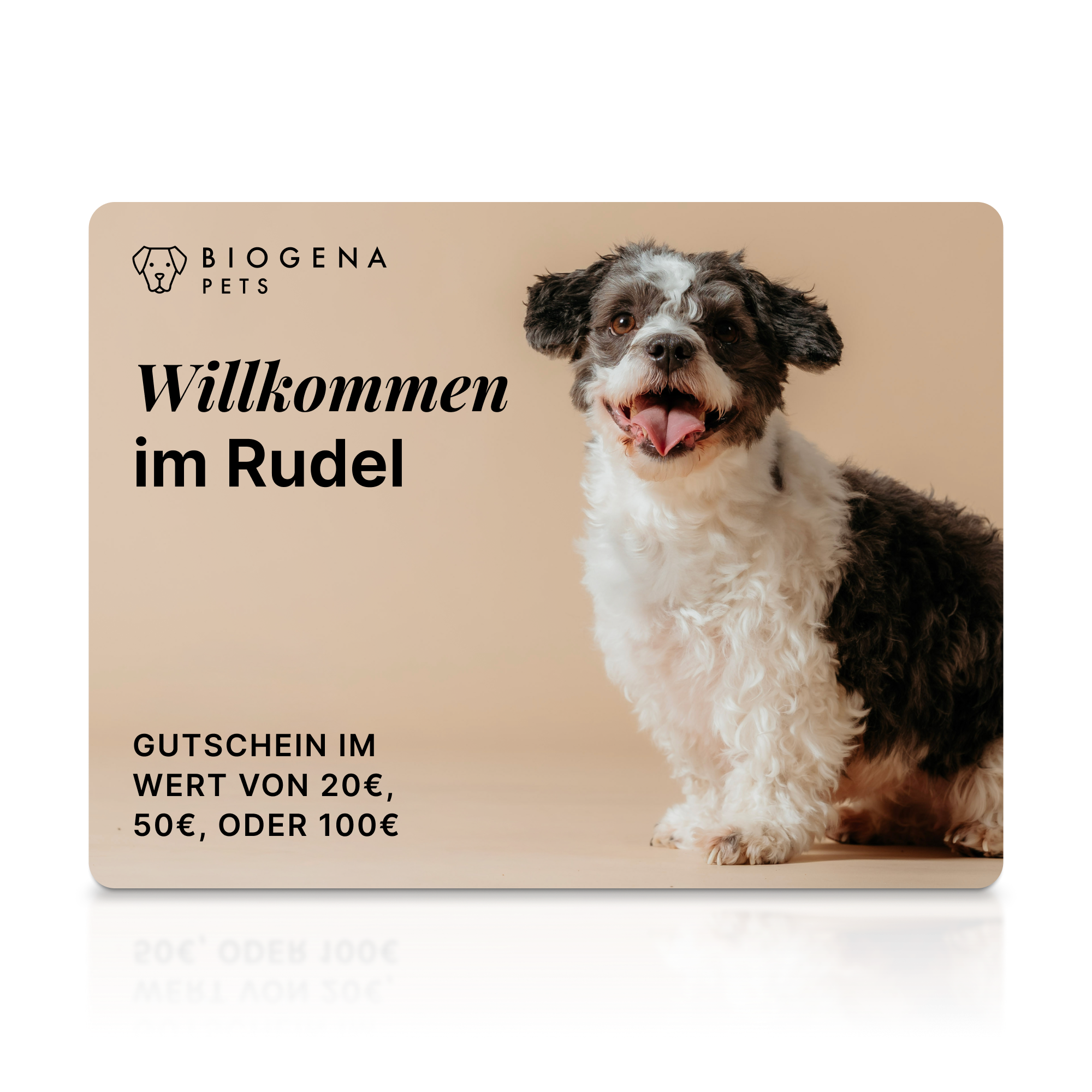 Biogena, PETS, Karton, weiß,