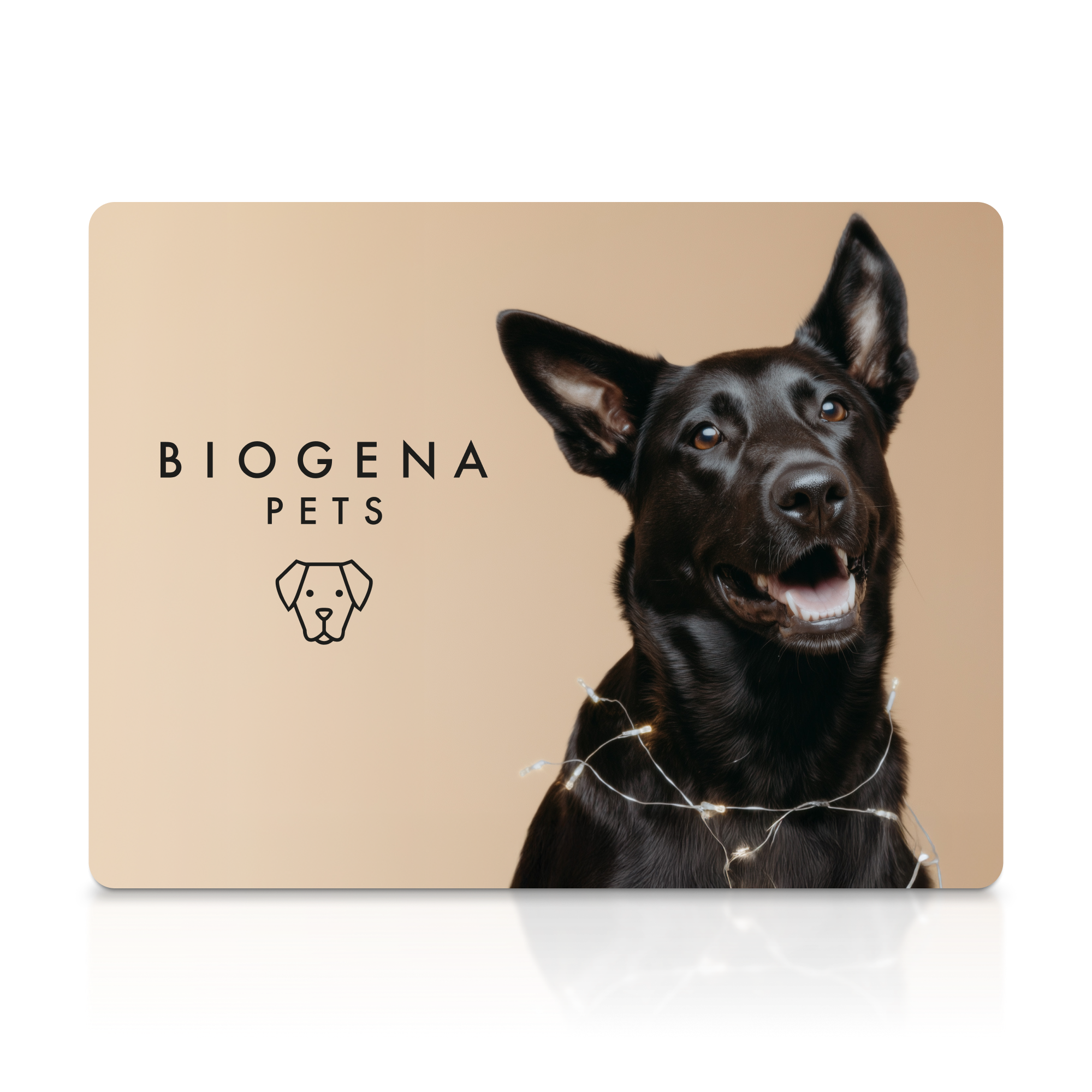 Eine hellbraune Karte mit der Aufschrift „BIOGENA PETS“ und einem minimalistischen Hundesymbol. Rechts im Bild sitzt ein fröhlicher schwarzer Hund mit Lichterkette um den Hals vor einem beigen Hintergrund.