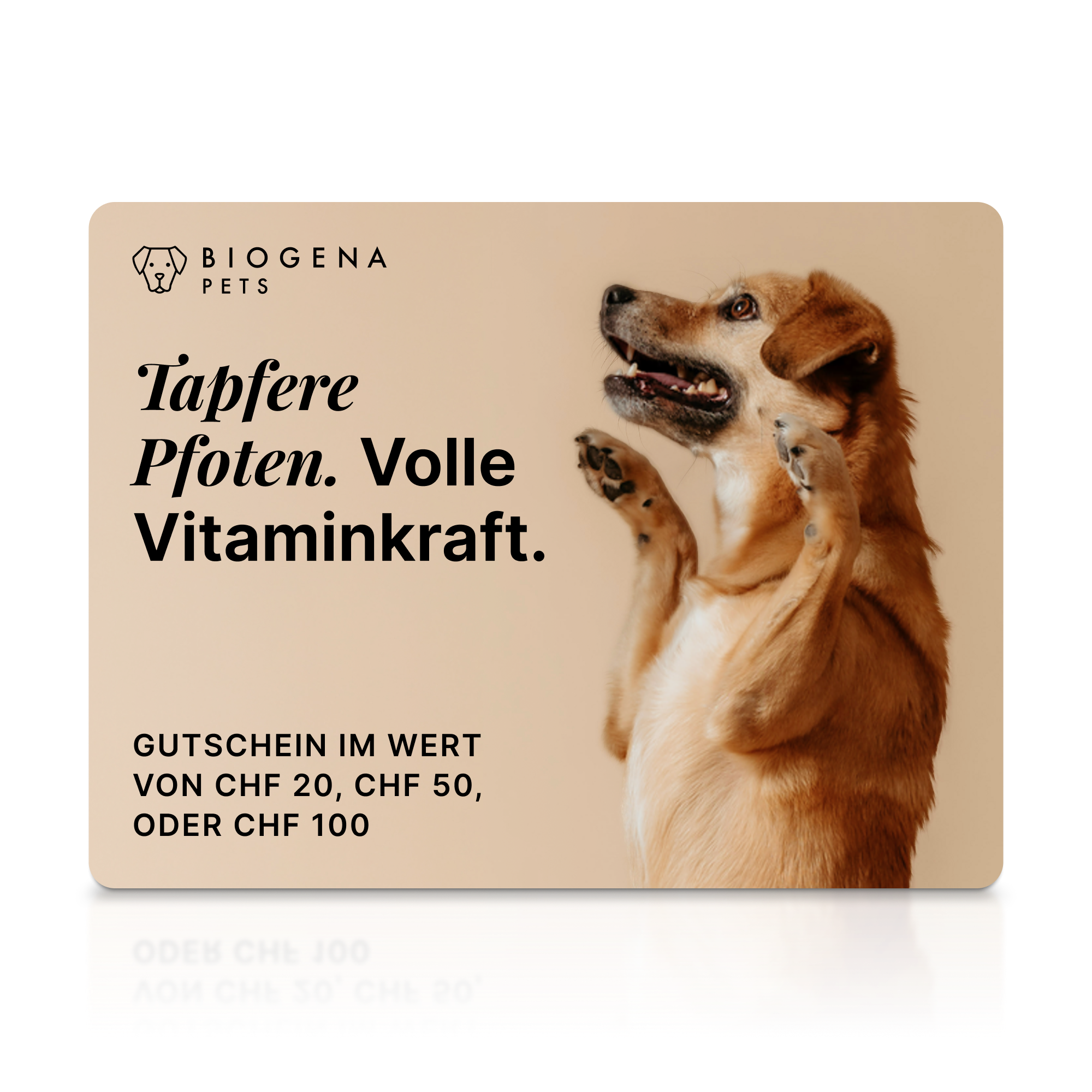 Biogena, PETS, Karton, weiss,