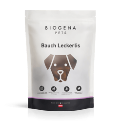 Bauch Leckerlis für Hunde – sanfte Verdauungssnacks
