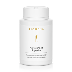 Nattokinase Superior