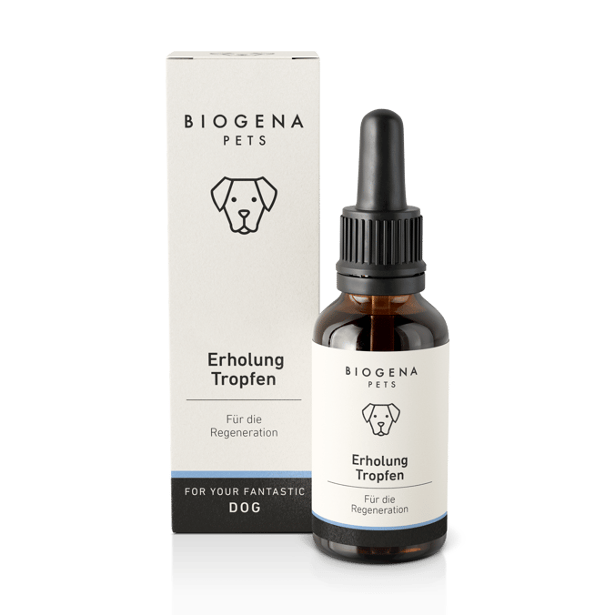 BIOGENA PETS Erholung Tropfen für die Regeneration in brauner Glasflasche mit Pipette und weißer Verpackung mit schwarzer Schrift und Hundesymbol